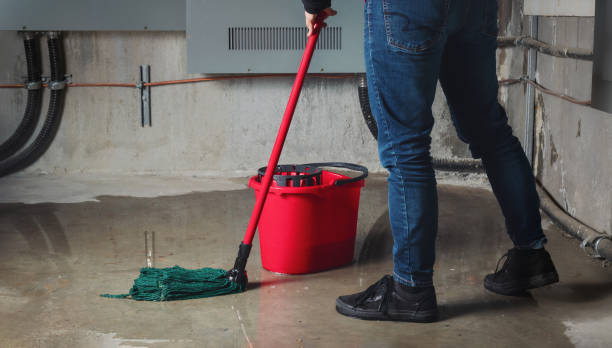 Best Water damage restoration near me  in Westmere, NY