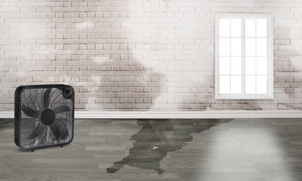 Carpet water damage restoration in Westmere, NY