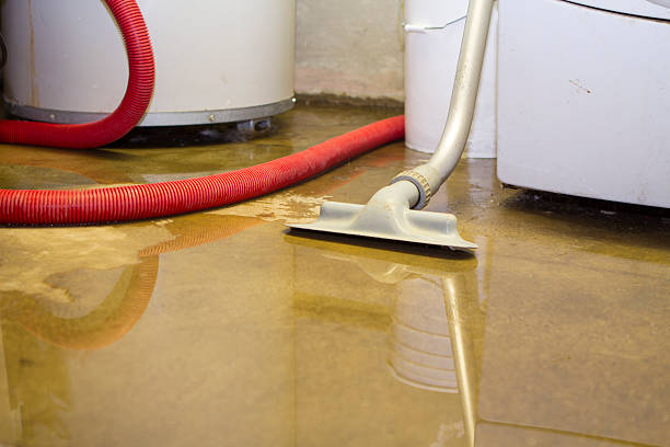 Best Emergency water damage restoration  in Westmere, NY