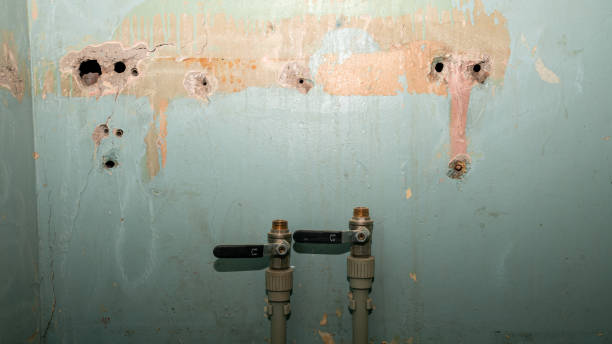 Best Residential water damage restoration  in Westmere, NY