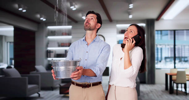 Best Fire Damage Restoration  in Westmere, NY