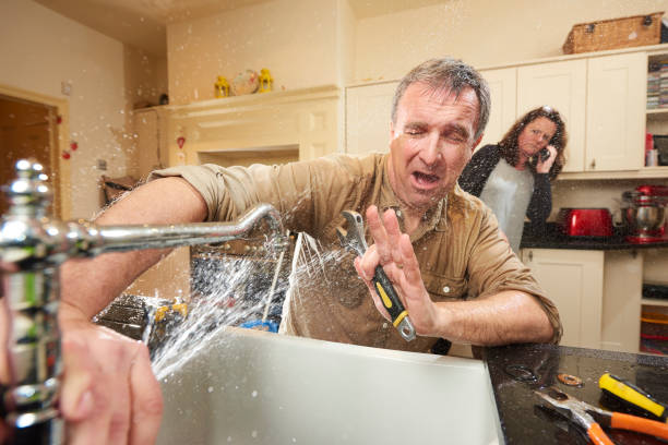 Best Water damage restoration near me  in Westmere, NY